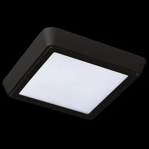 Потолочный светодиодный светильник Lightstar Urbano 216874  фото 3