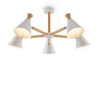 Потолочная люстра Freya Rise FR5169PL-05W 