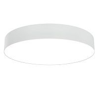 Потолочный светодиодный светильник Maytoni Technical Zon C032CL-L48W3K 