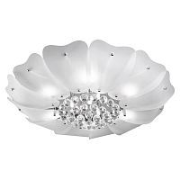 Потолочный светильник Lightstar Lobo 804040 