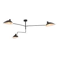 Потолочная люстра ST Luce Spruzzo SL305.402.03 