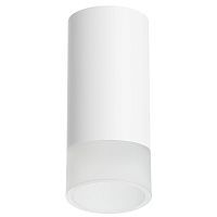 Потолочный светильник Lightstar Rullo (214436+202431) R43631 