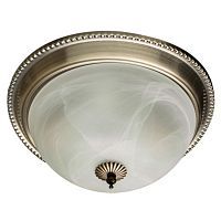 Потолочный светильник Arte Lamp 16 A1305PL-2AB 
