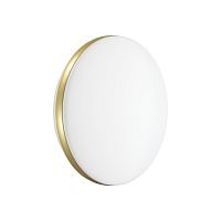 Настенно-потолочный светодиодный светильник Sonex Ringo 7626/CL 