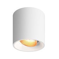 Накладной светильник Denkirs DK3090-WBR 