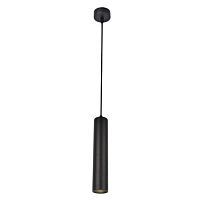 Подвесной светильник Arte Lamp Lira A5600SP-1BK 