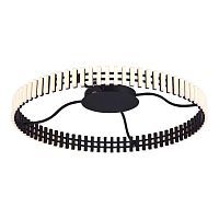 Потолочный светодиодный светильник ST Luce Estense SL6203.402.50 