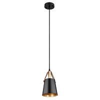 Подвесной светильник Arte Lamp THOMAS A7032SP-1BK 