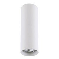 Потолочный светильник Lightstar Rullo 214496 