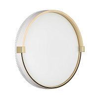 Настенно-потолочный светильник SONEX Olidi white 7646/CL пластик белый 
