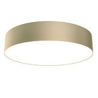 Потолочный светодиодный светильник Maytoni Technical Zon C032CL-L43MG4K 