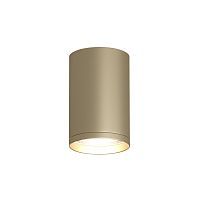 Накладной светильник Denkirs TUBE DK2050-SG 