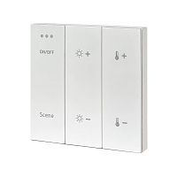 Панель управления ДУ ST Luce Skyline ST015.500.99 