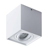 Потолочный светильник Arte Lamp Factor A5544PL-1WH 