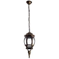 Уличный подвесной светильник Arte Lamp Atlanta A1045SO-1BN 