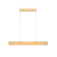 Подвесной светодиодный светильник Maytoni Step P010PL-L23G3K 