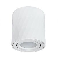Потолочный светильник Arte Lamp Fang A5559PL-1WH 