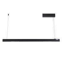 Подвесной светодиодный светильник Arte Lamp Lao A2189SP-1BK 