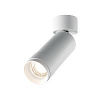 Потолочный светильник Technical C055CL-L12W4K-Z-W 